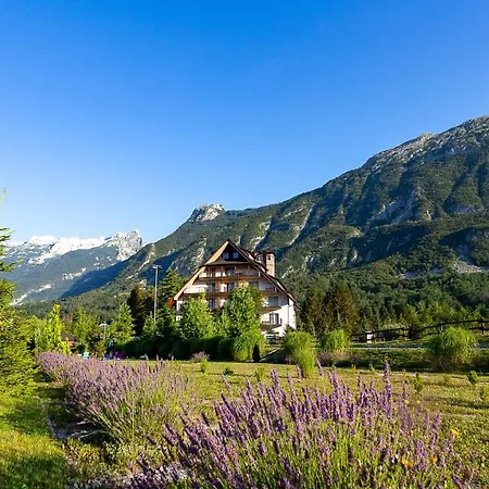 Hotel Mangart-2